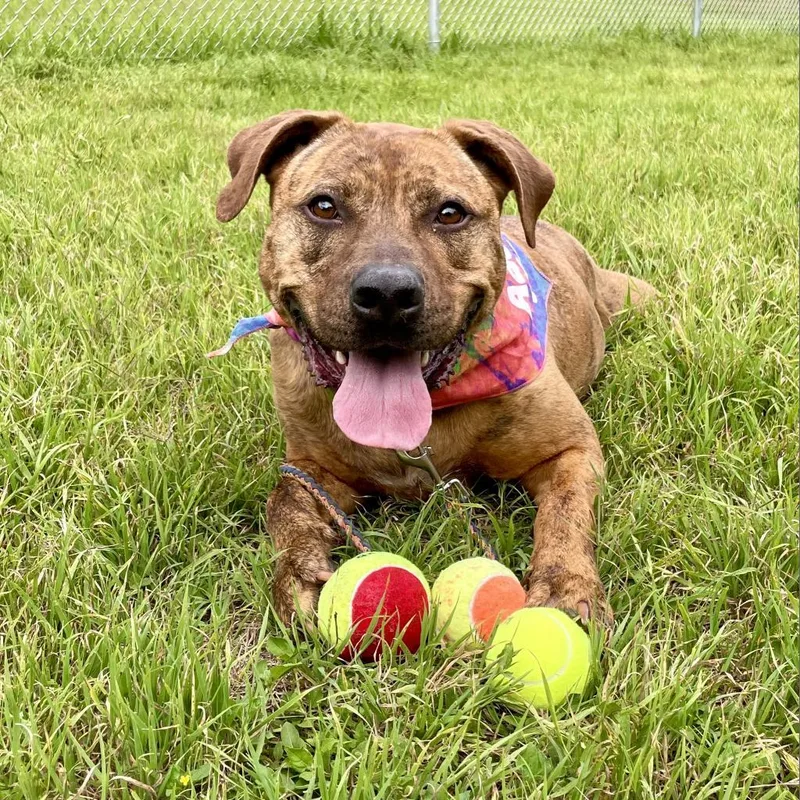 Mellie Mel thumbnail 6