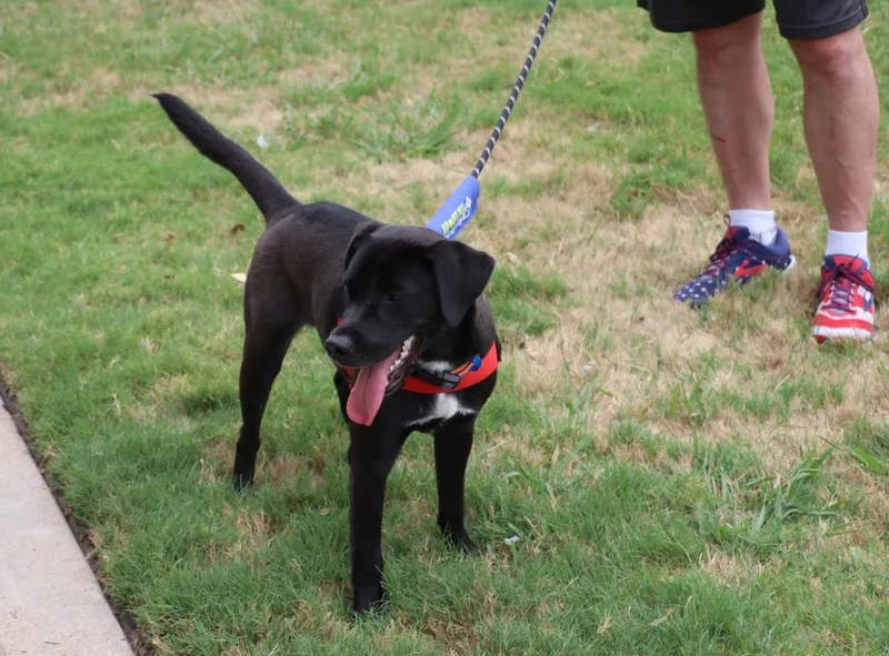 Gracie May thumbnail 2