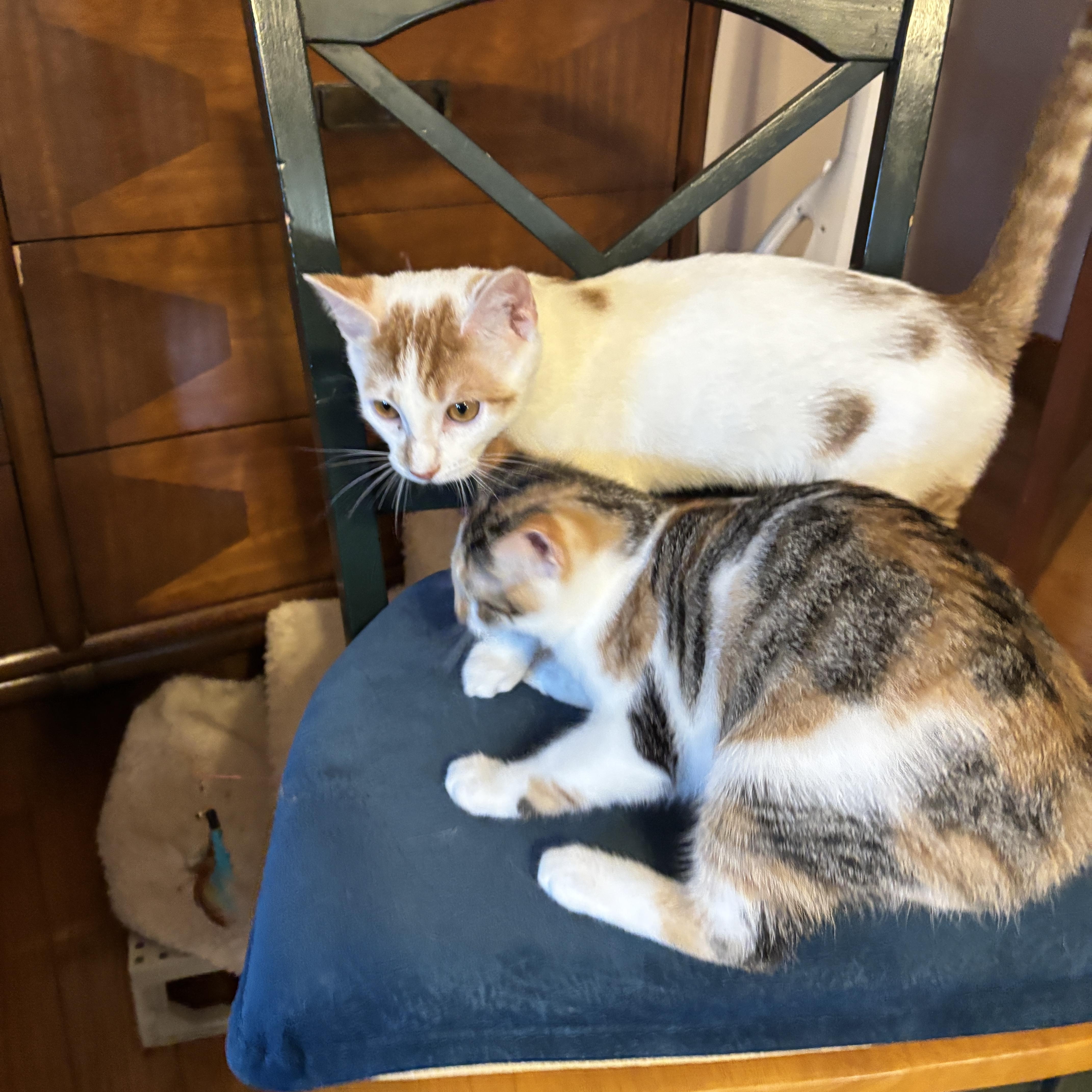Rose & Mike thumbnail 3