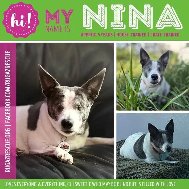 Nina thumbnail 6
