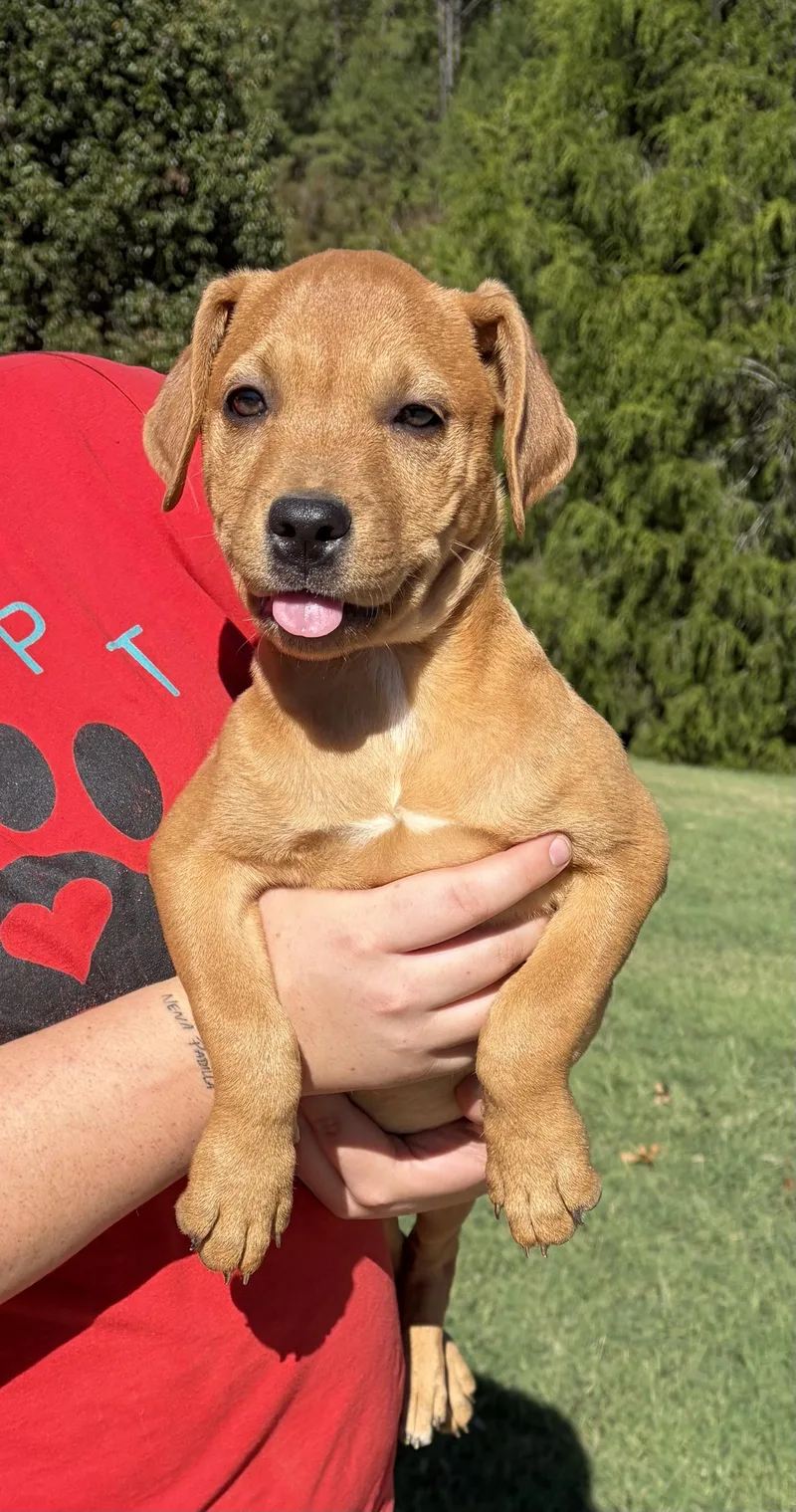 Tina thumbnail 3