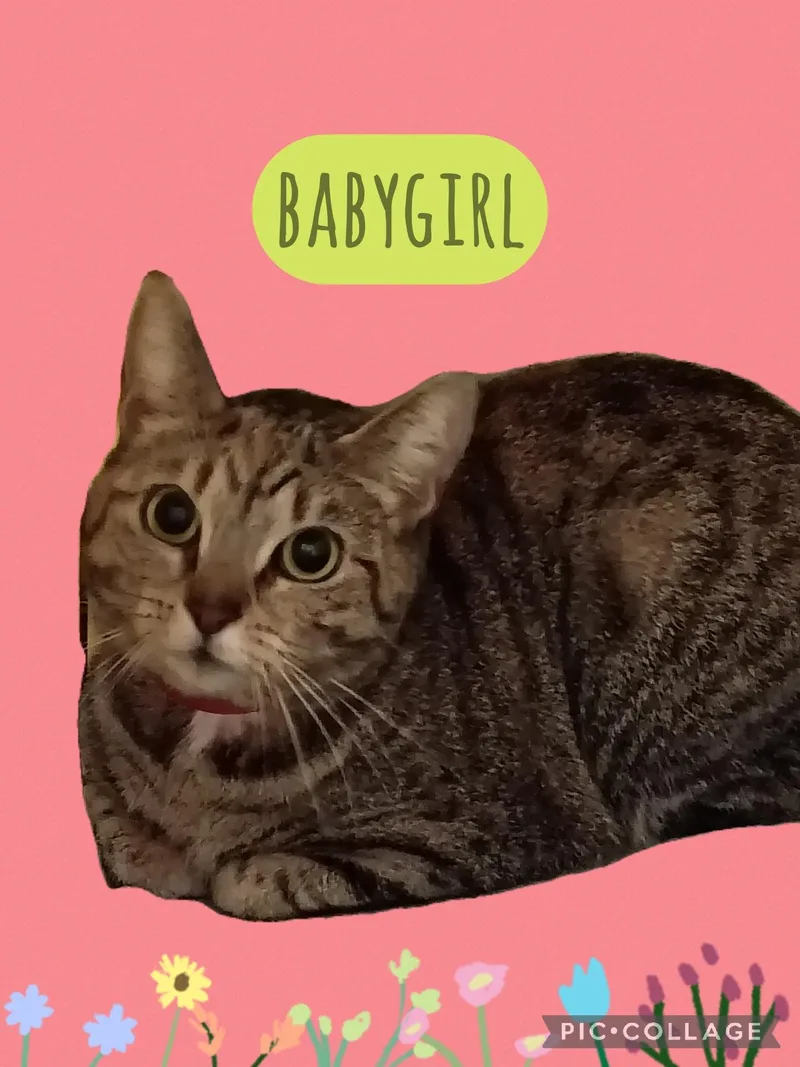 Babygirl