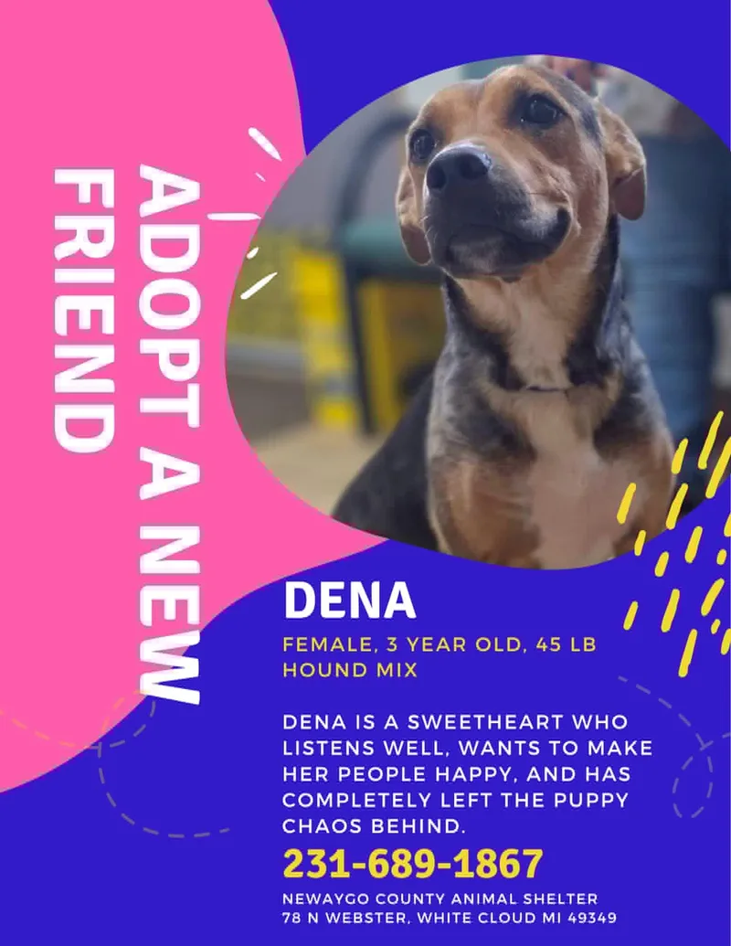 Dena thumbnail 3