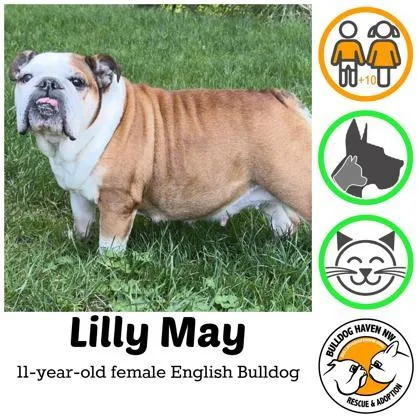Lilly May thumbnail 2