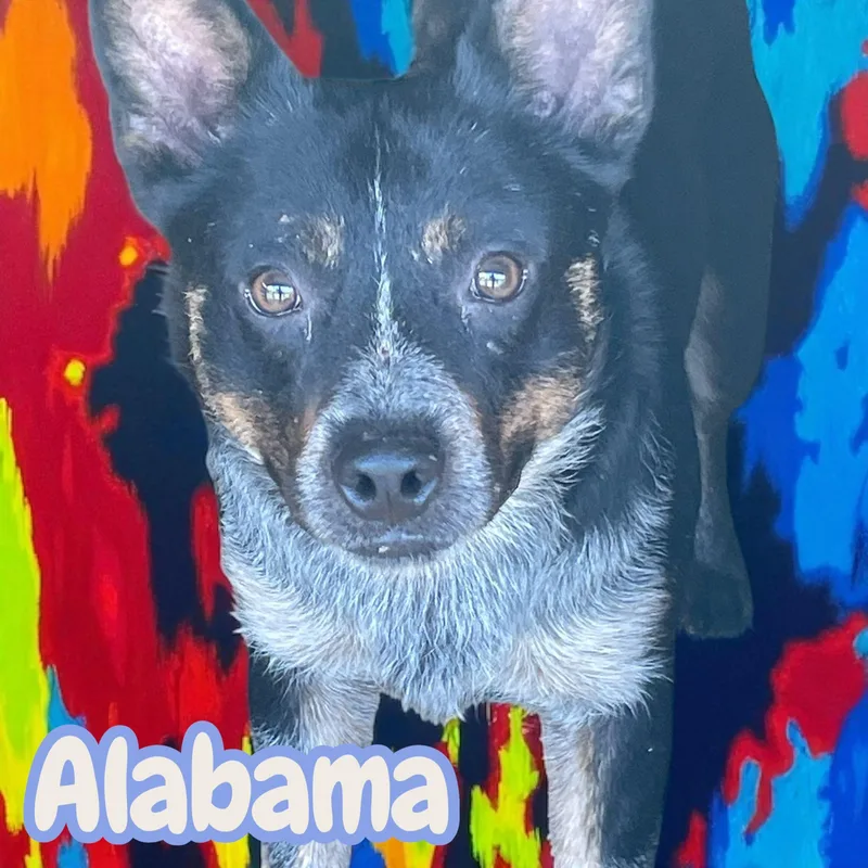 Alabama thumbnail 2