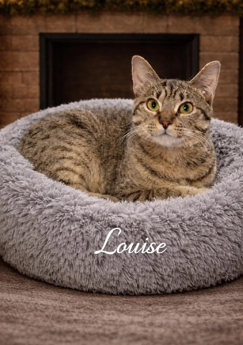 Thelma And Louise thumbnail 3