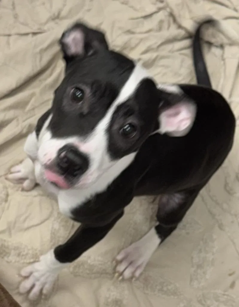 Lucy thumbnail 2