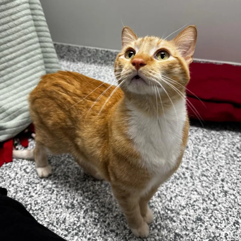 Alistair thumbnail 3