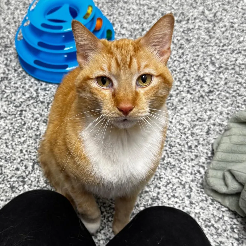 Alistair thumbnail 4