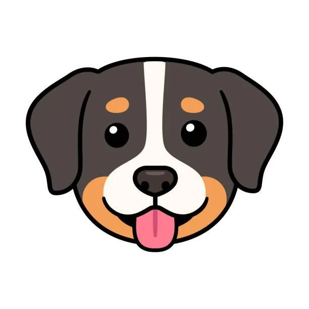 An adult small-sized male Black Mixed Breed dog named Muffin Man for adoption in Dickinson, TX