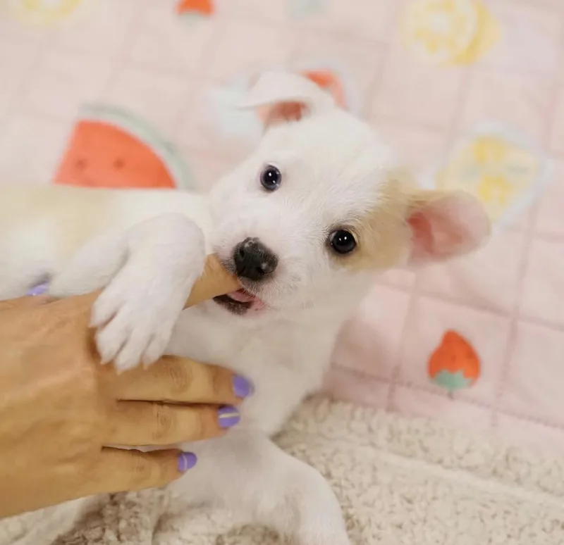 Molly thumbnail 2