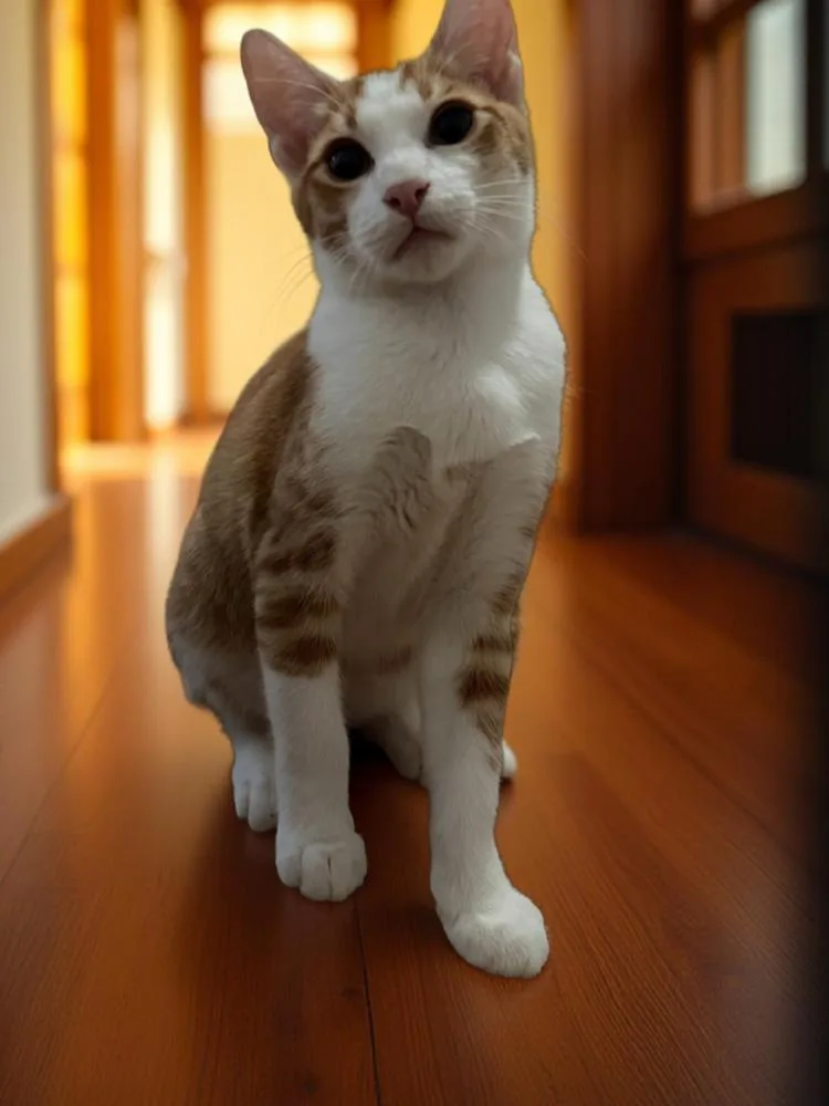 Cheddar Bay thumbnail 5