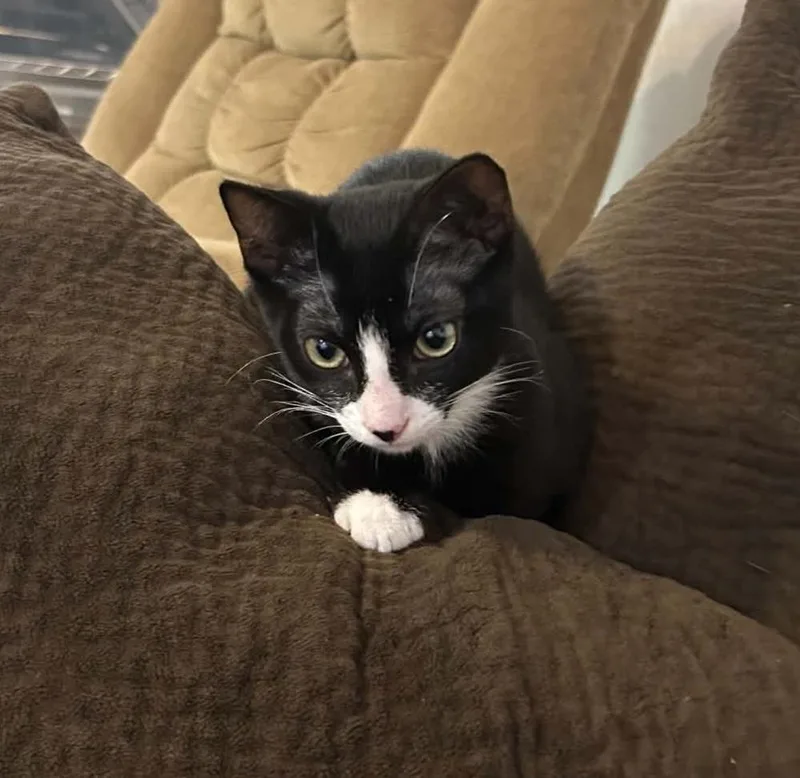 Bibba thumbnail 2