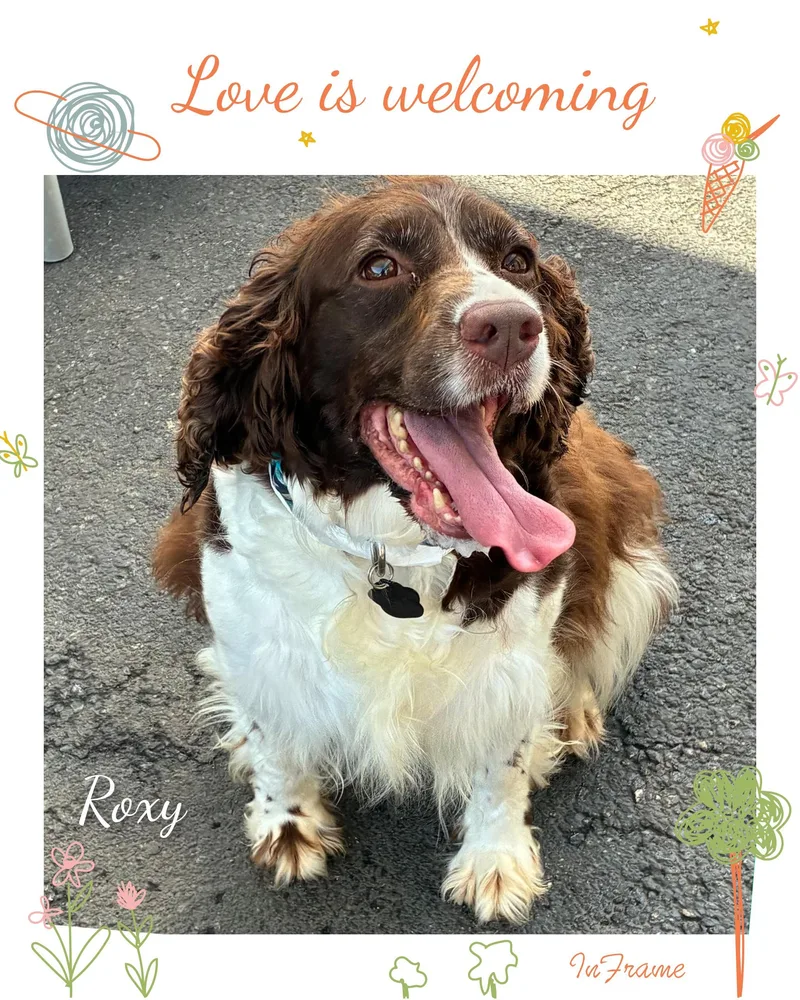 Roxy thumbnail 6