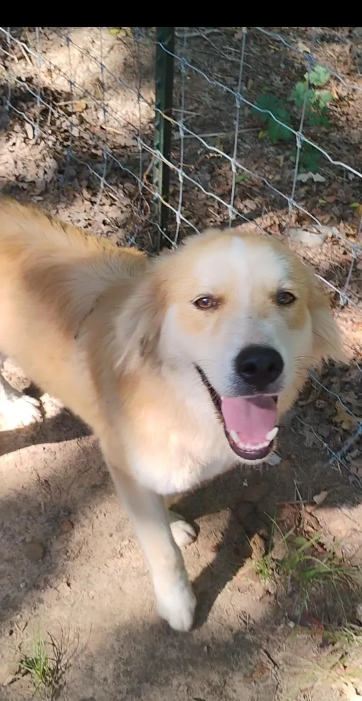 Rand thumbnail 2