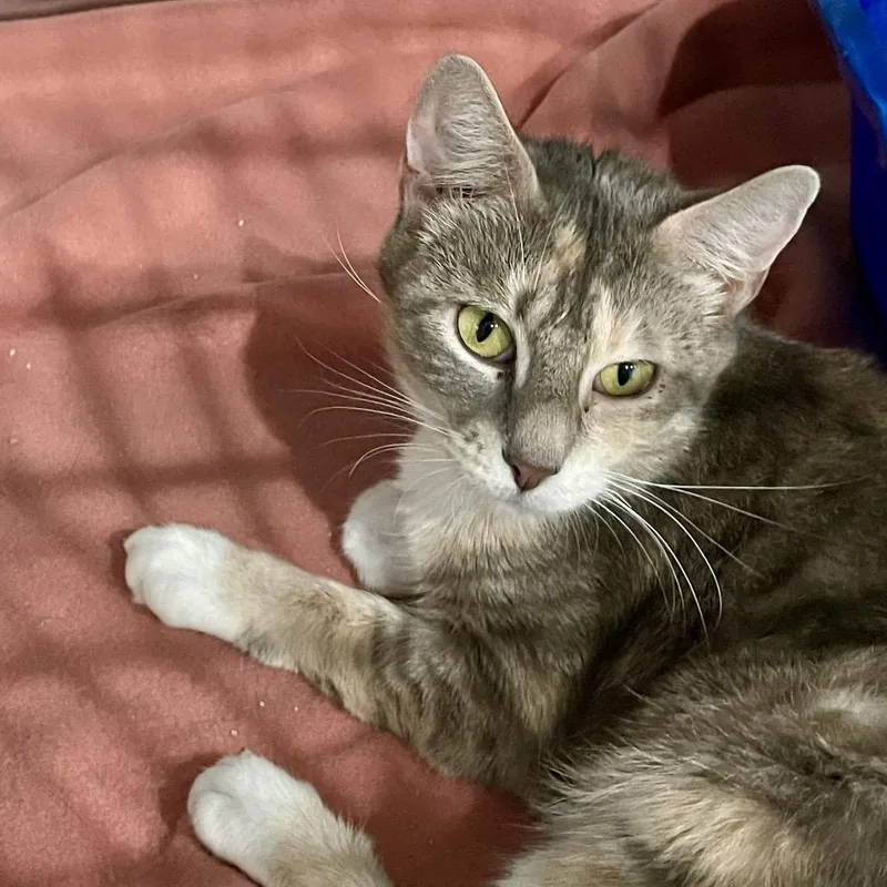 Ellie