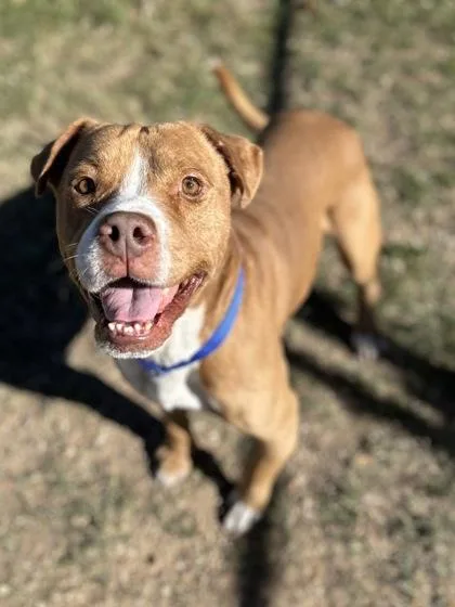 Chugalug thumbnail 3