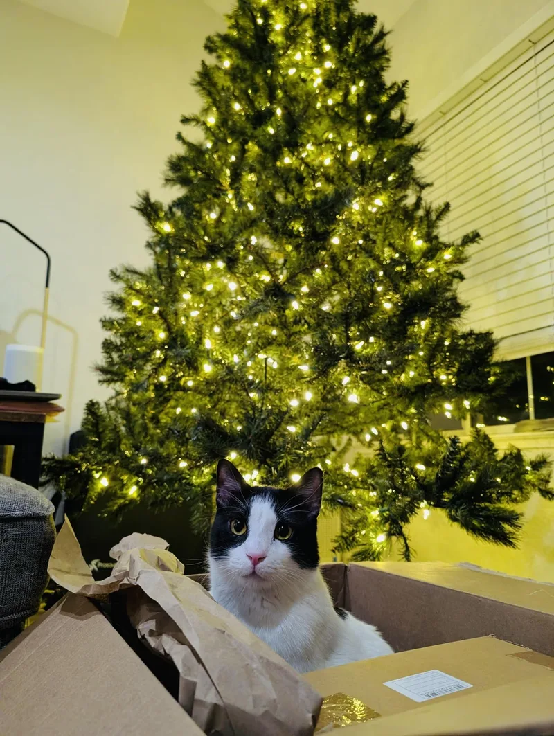 Kung Fu Panda — thumbnail 4