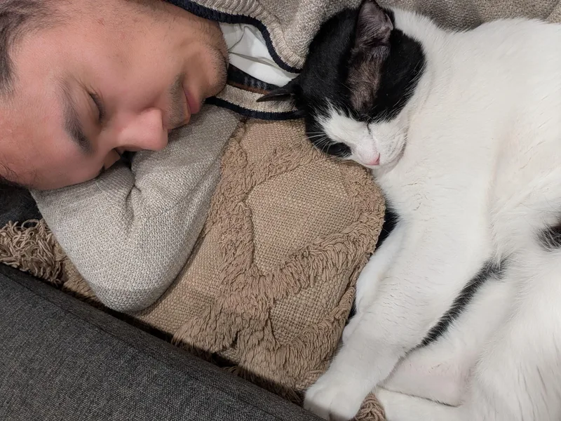 Kung Fu Panda — thumbnail 5