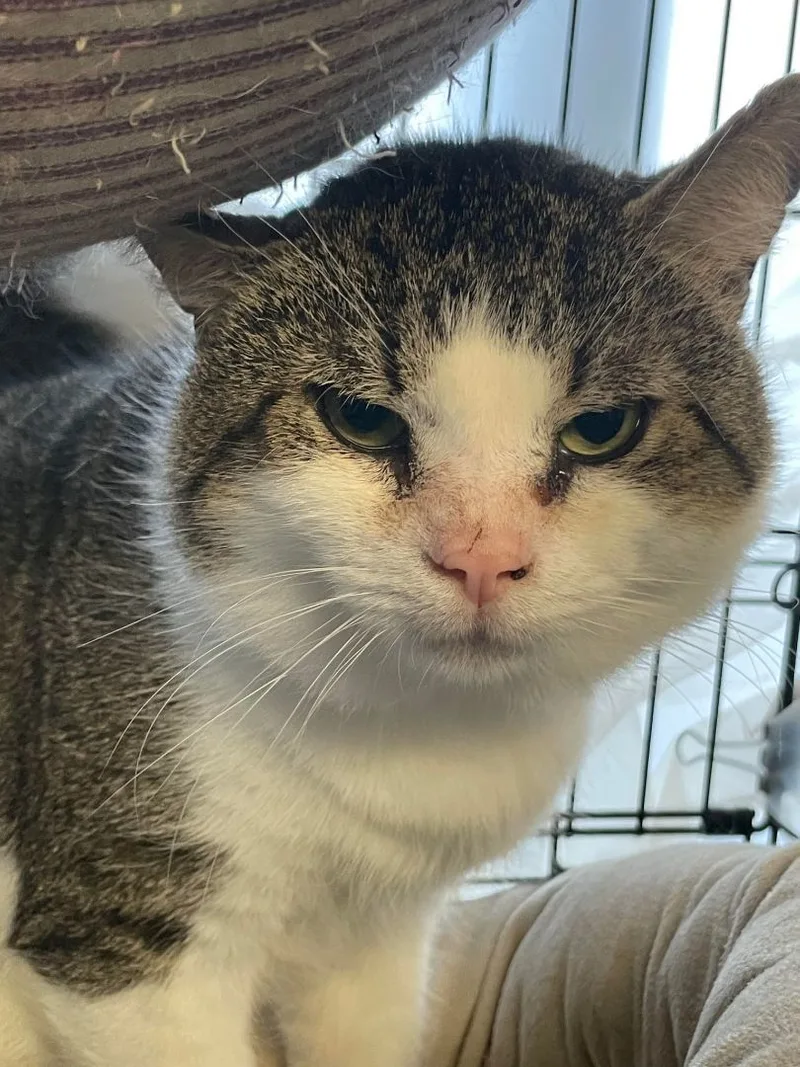 Dragon & Drexel Bonded