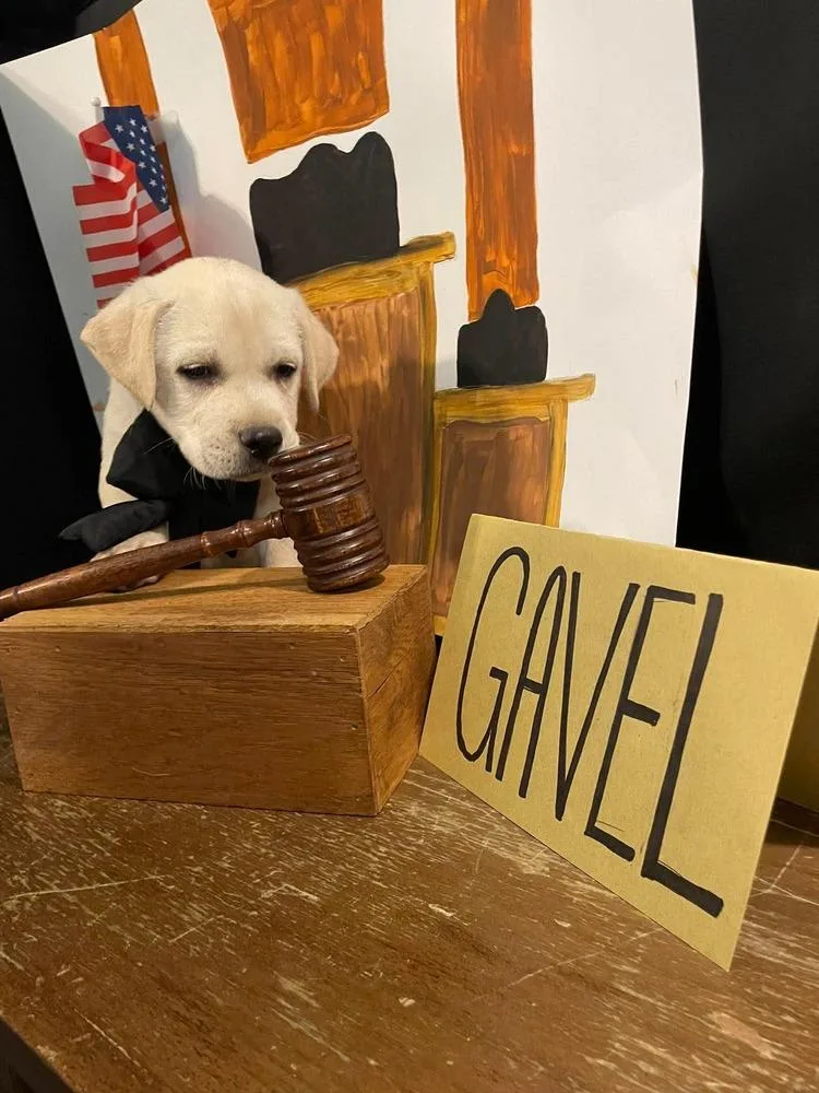 Gavel thumbnail 5
