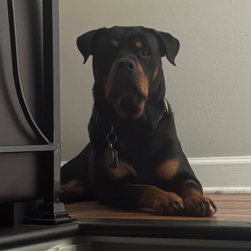 Jax  Home to thumbnail 3
