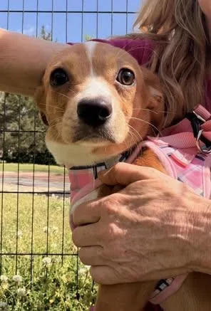 Sugar Baby thumbnail 5