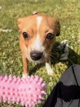 Sugar Baby thumbnail 6