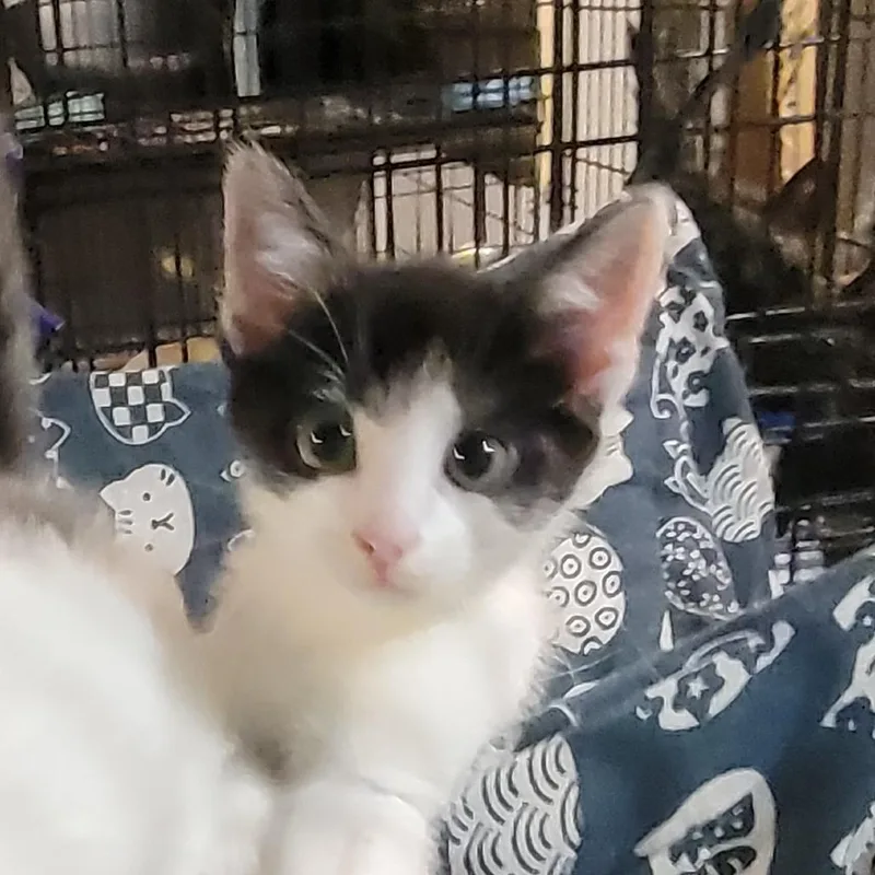 Zoey thumbnail 2