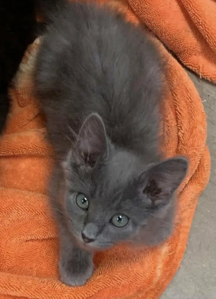 Stormy