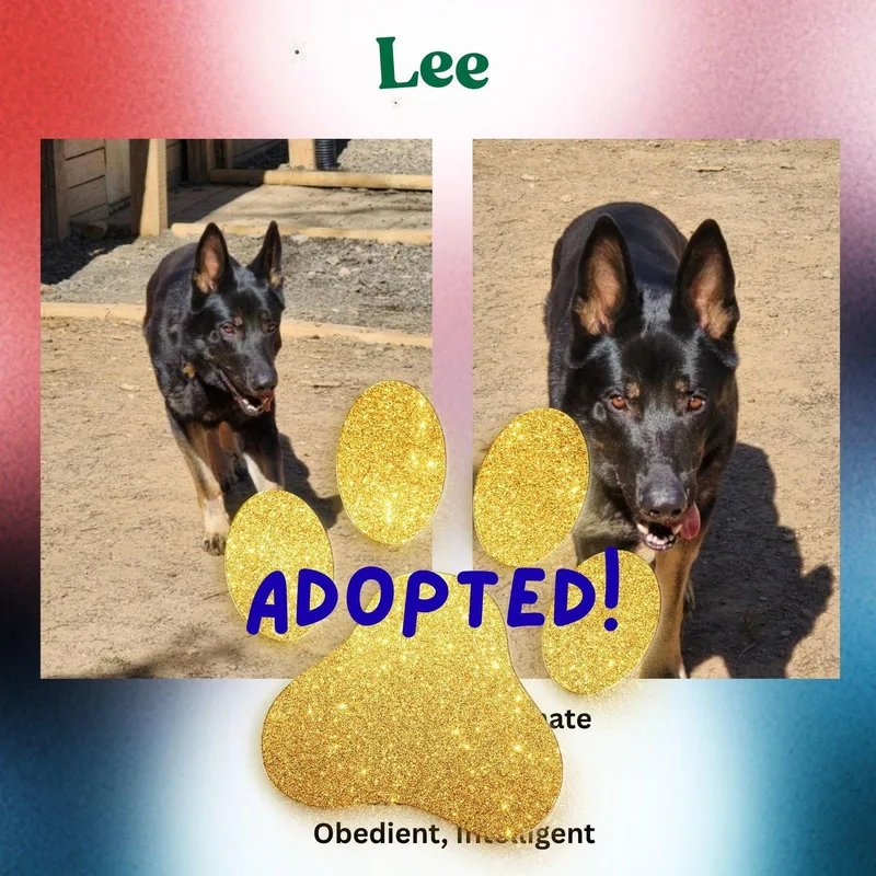 Lee