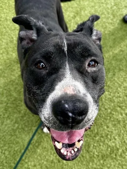 Little Mamas thumbnail 3