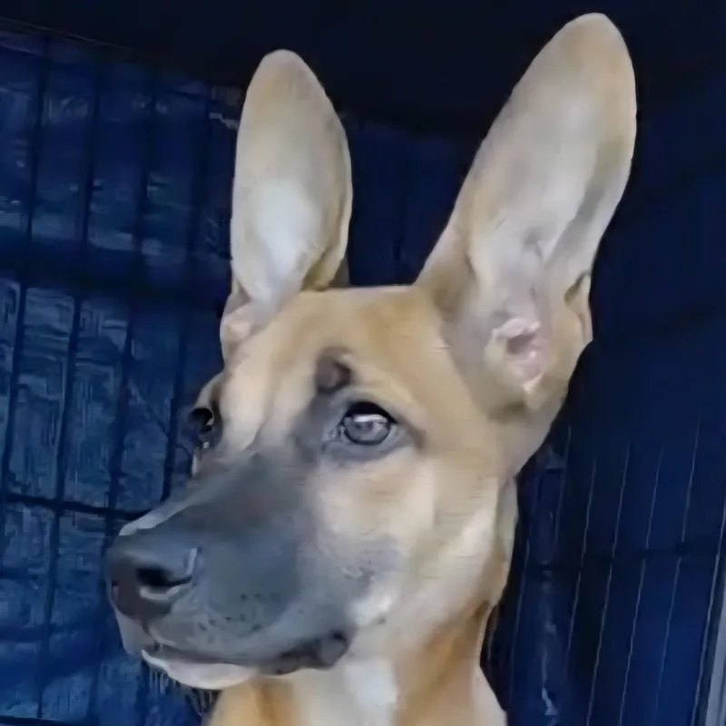 Valentina Eve "your Arms