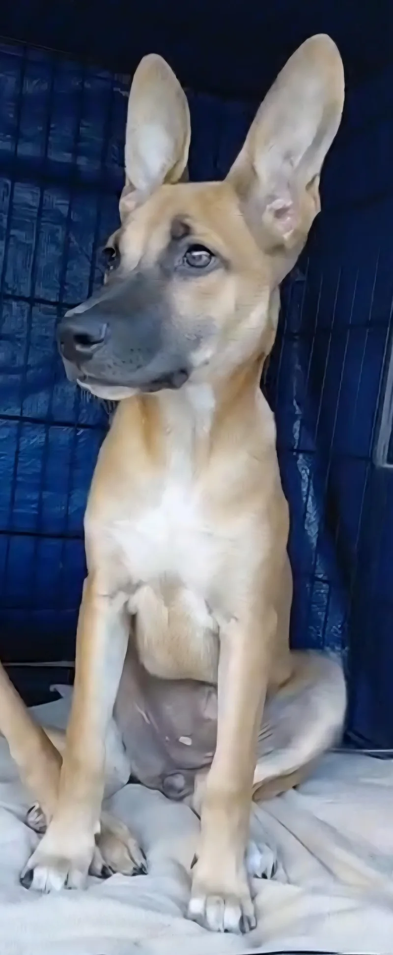 Valentina Eve "your Arms thumbnail 4