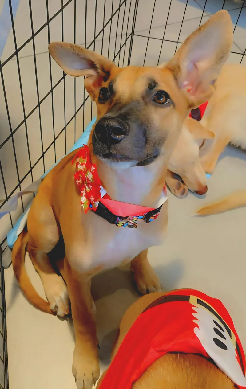 Valentina Eve "your Arms thumbnail 5