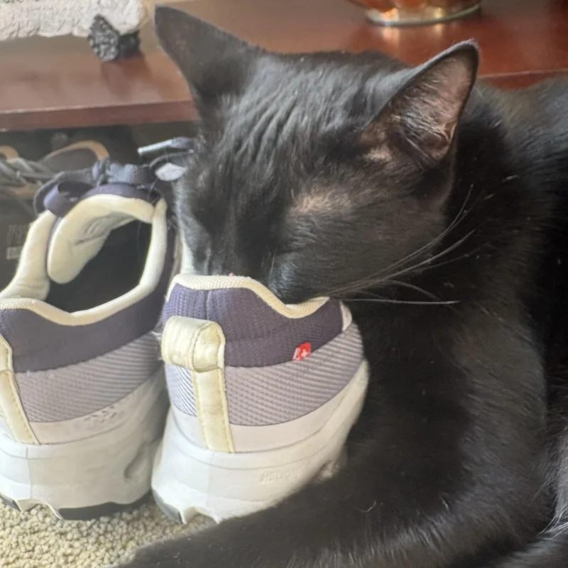 Chex  Super Sweet thumbnail 2