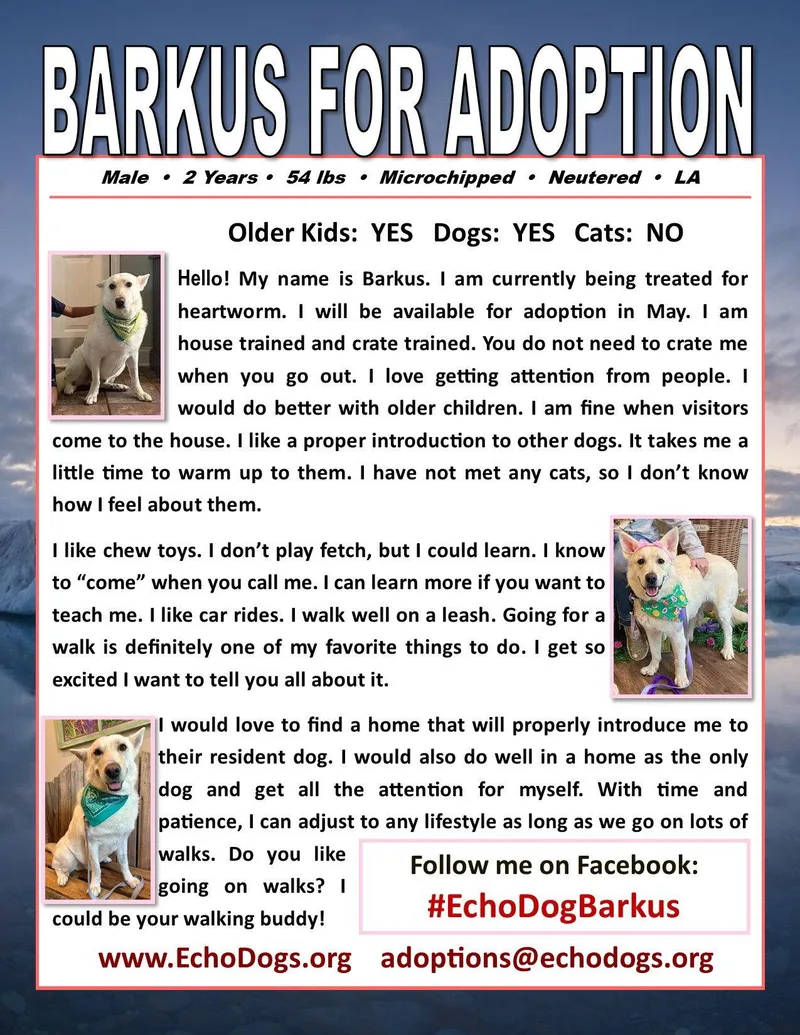 Barkus