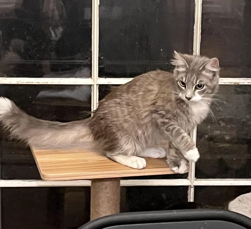 Butterbean thumbnail 2