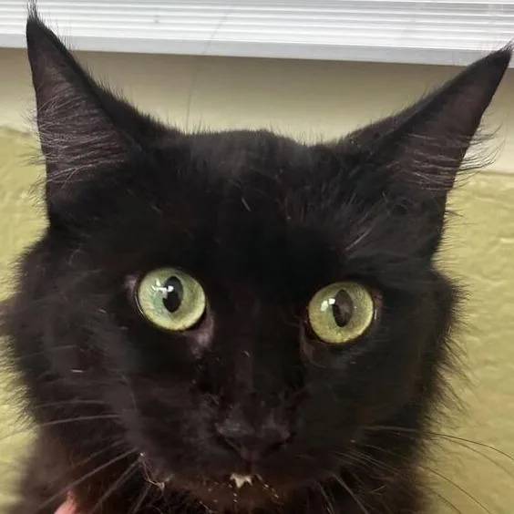 Jack