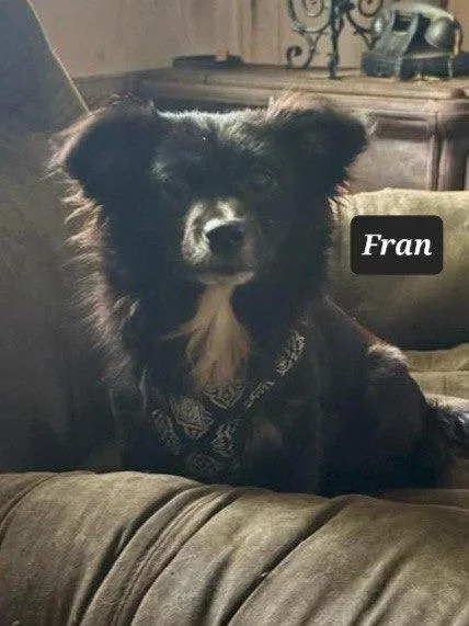 Fran