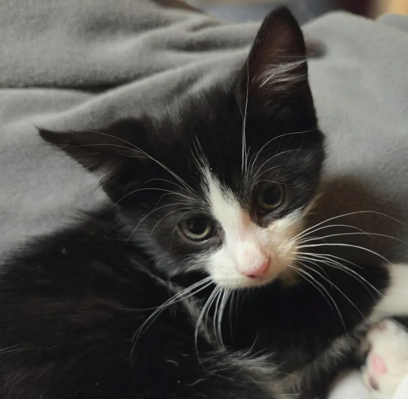 Winnie thumbnail 2