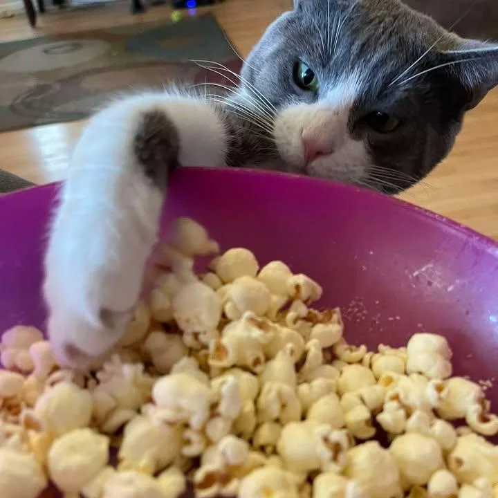 Thaddeus Urgent thumbnail 2