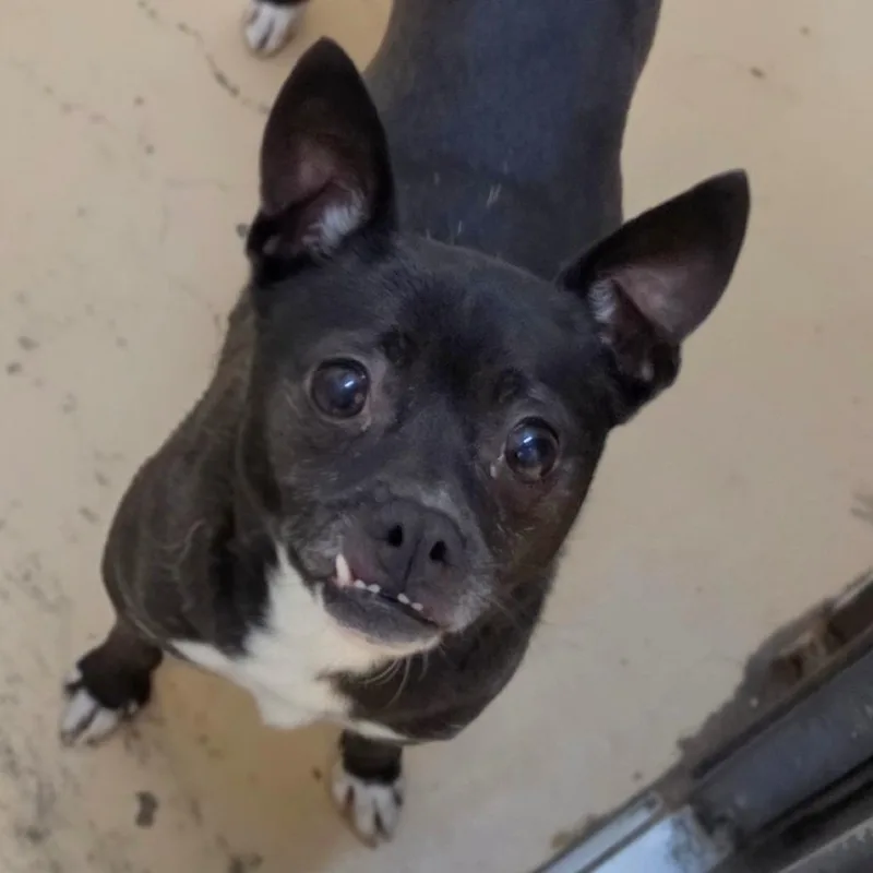 Tija  Chino Hills thumbnail 3