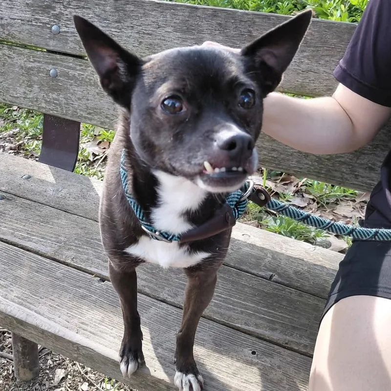 Tija  Chino Hills thumbnail 5