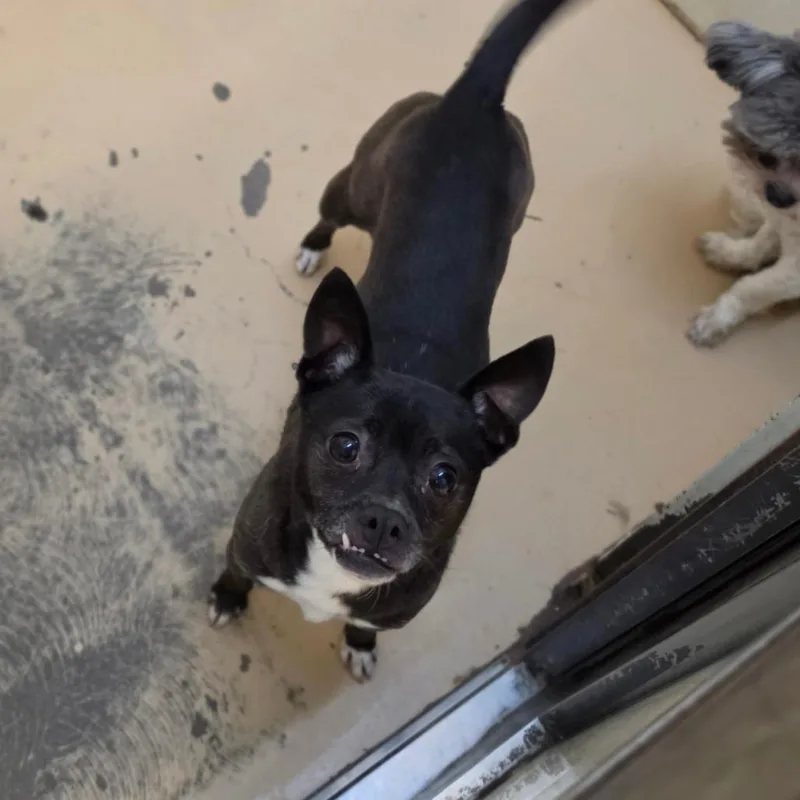 Tija  Chino Hills thumbnail 6