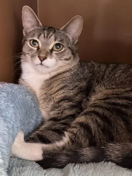 Brooke $ @ Petsmart thumbnail 3
