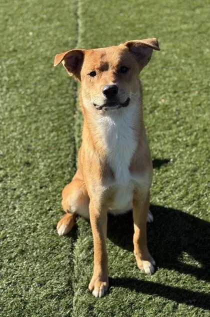 Benjamin thumbnail 3