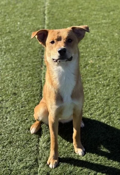 Benjamin thumbnail 4