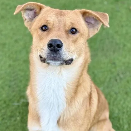 Benjamin thumbnail 5