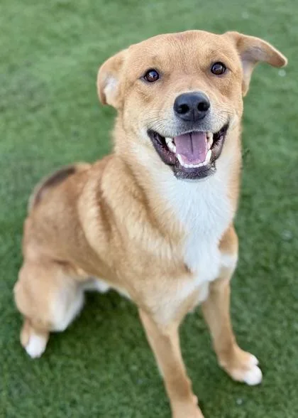 Benjamin thumbnail 6